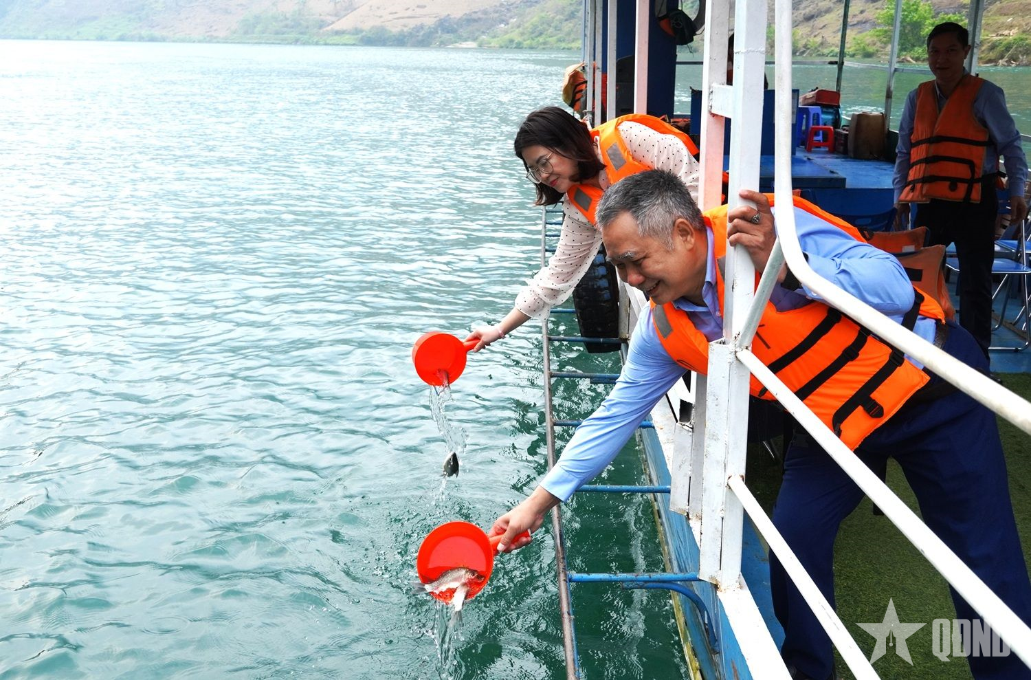 Tuyên Quang: Thả hơn 500kg cá giống tái tạo nguồn lợi thủy sản lòng hồ Nho Quế 1